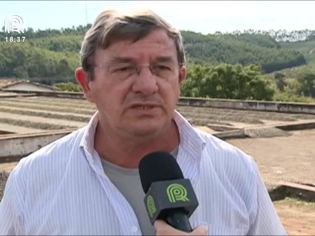 Saiba como colher o café com clima instável