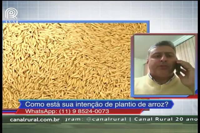 'Não é mais promissor plantar arroz no Brasil', afirma Federarroz