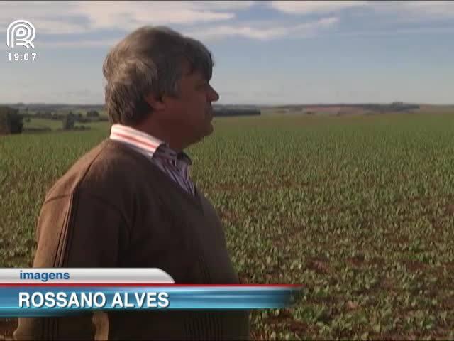 Soja: produtor do Rio Grande do Sul segura vendas