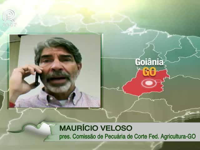 ICMS para gado que sai de Goiás diminui