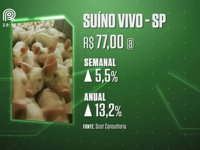 Saiba por que o preço do suíno reagiu em julho