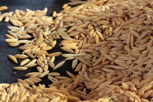 arroz importação
