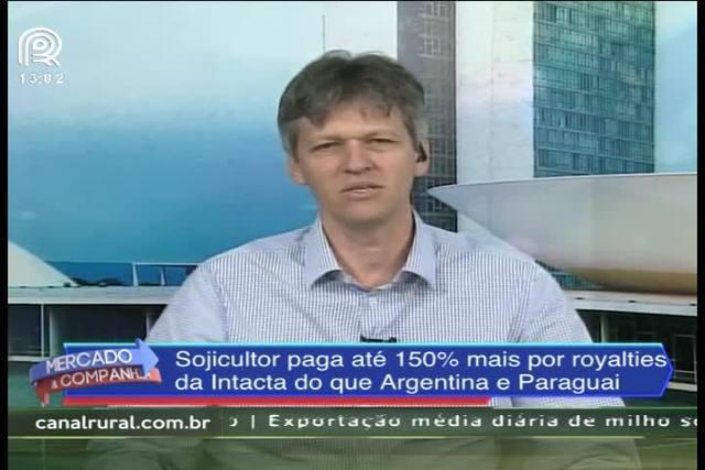 Soja: Brasil paga até 150% mais por royalties da intacta na comparação com a Argentina e Paraguai