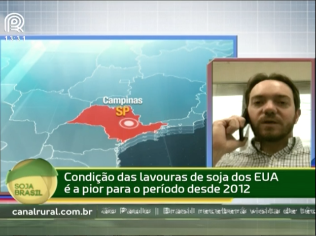 Soja: relatório do USDA impede alta dos preços