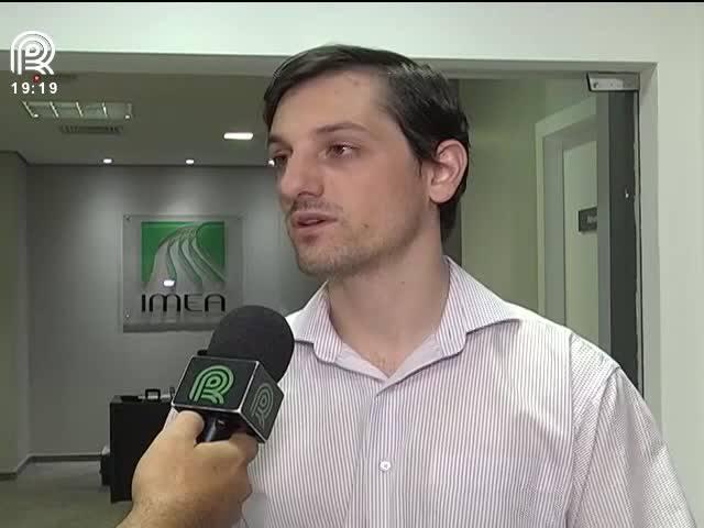 MT: produtor de milho ganha apenas R$ 11 pela saca