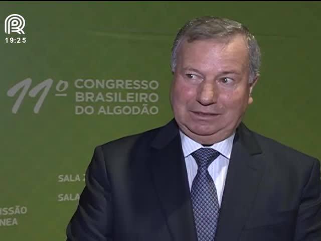 Algodão: setor quer consumo interno 10% maior