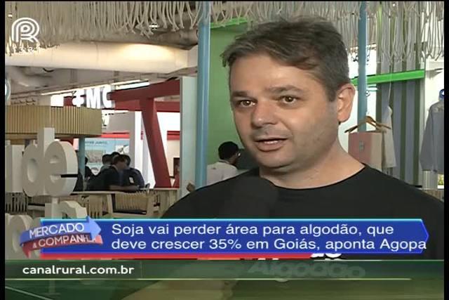 Algodão: área de cultivo em Goiás crescerá 35% na safra 2017/2018