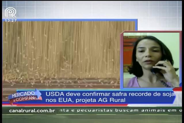 USDA deve anunciar aumento na produção de soja