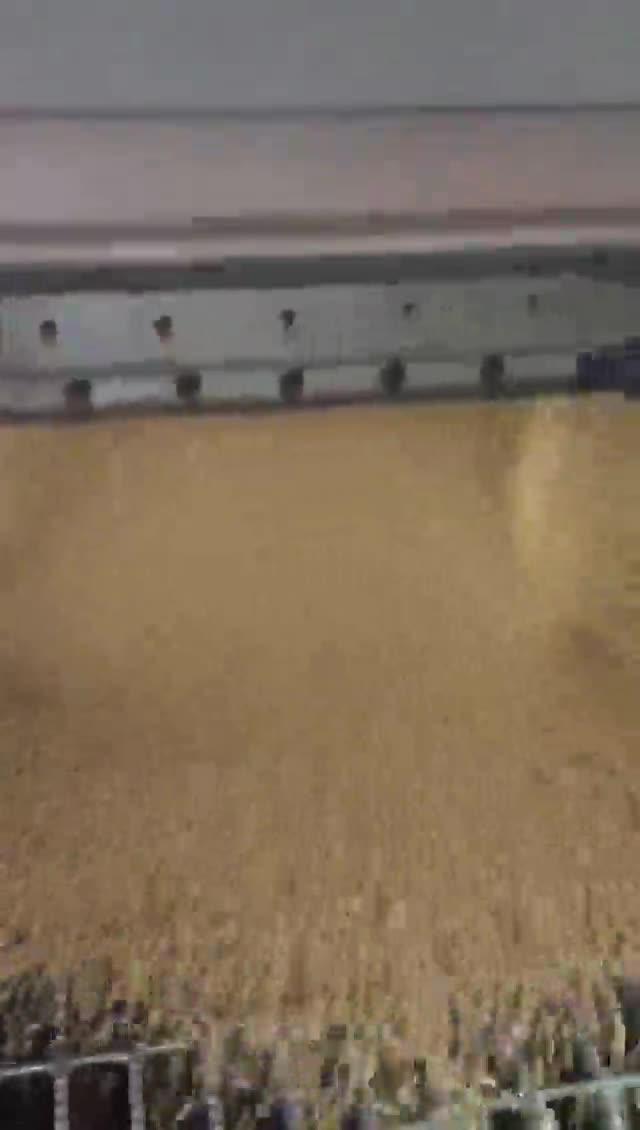 Descarga de grãos no terminal da Cargill no rio Illinois