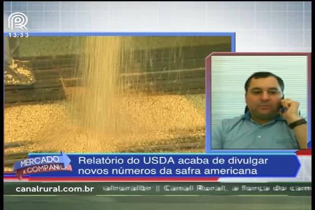 Soja: USDA confirma safra recorde norte-americana