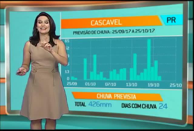 PR: meteorologia aponta chuvas regulares e viabiliza o plantio da soja