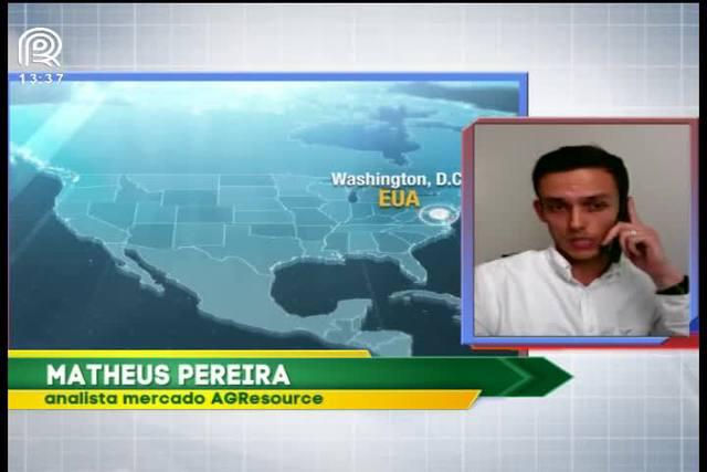 USDA: relatório gera movimento altista para a soja