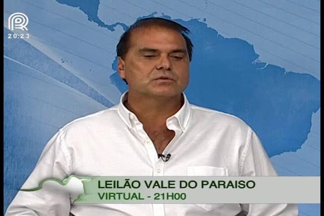 Nelore: Fazenda Vale do Paraíso leiloa fêmeas