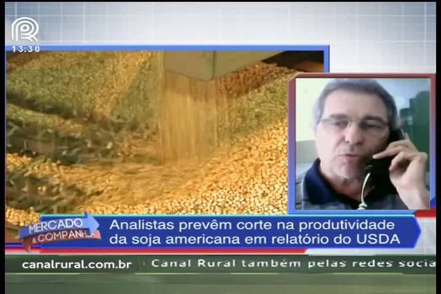 Relatório do USDA deve apresentar redução na produtividade da soja