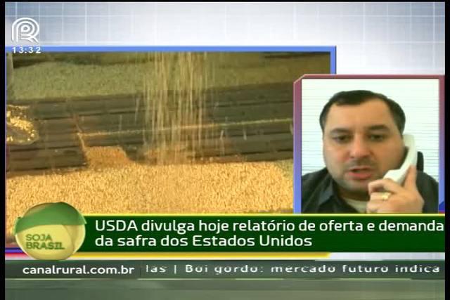 USDA: analista prevê queda na produtividade da soja