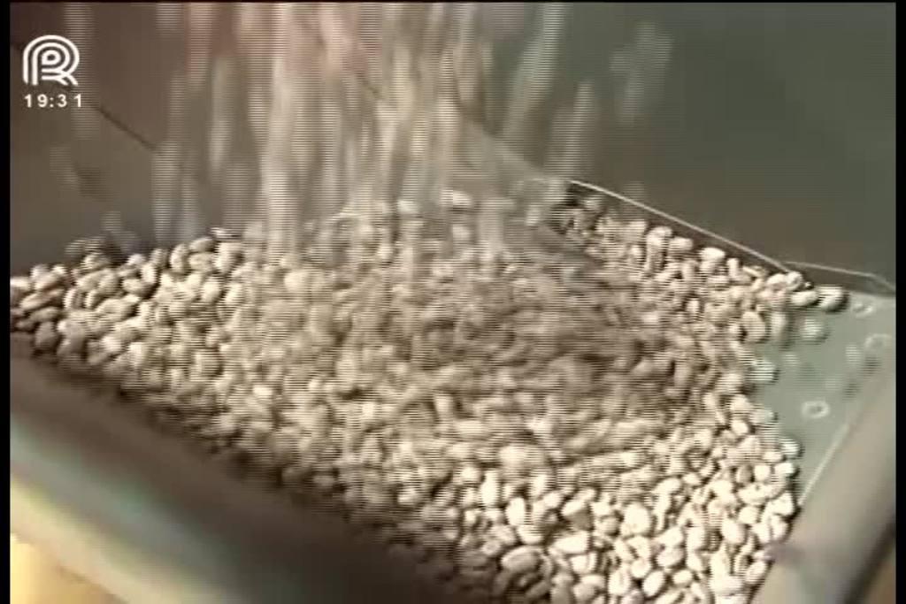 Safra de grãos 17/18 pode chegar a 227 toneladas
