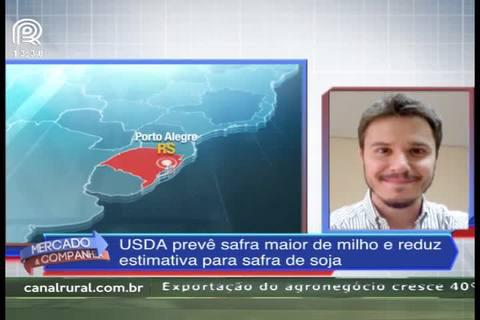 Confira análise do relatório do USDA feita pela Safras & Mercado