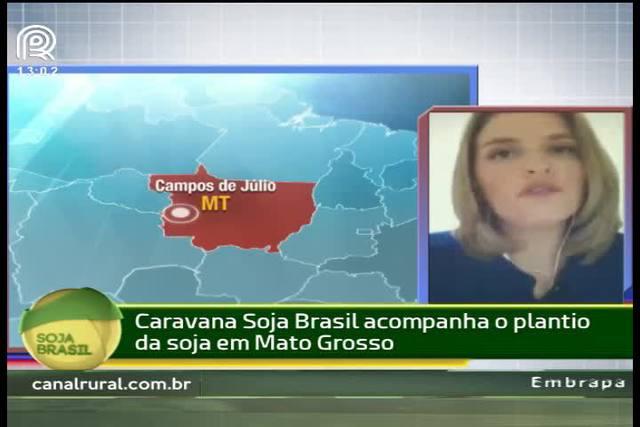 Soja: preço em queda paralisa negócios em Campos de Júlio (MT)