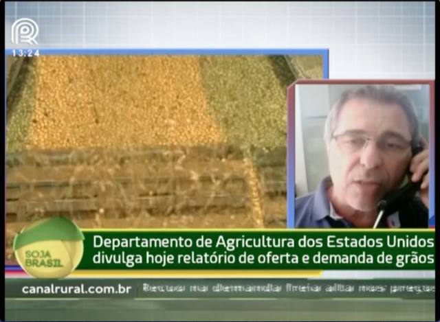 USDA deve divulgar aumento nos estoques de soja, diz analista