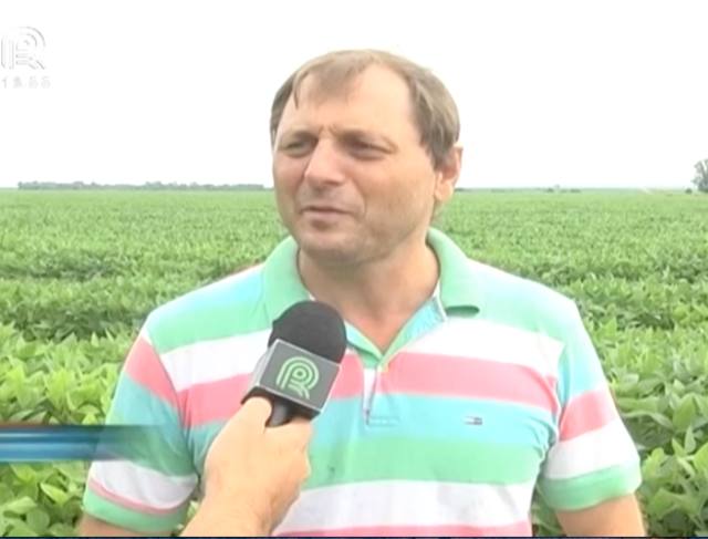 Mato Grosso dá início à colheita de soja