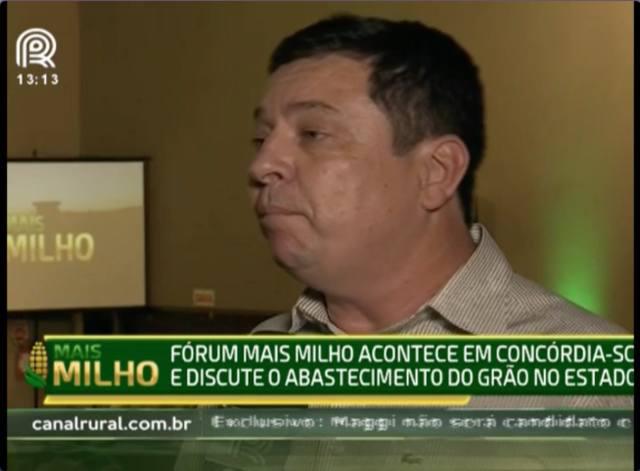 Análise: produtividade do milho em Santa Catarina vai bem