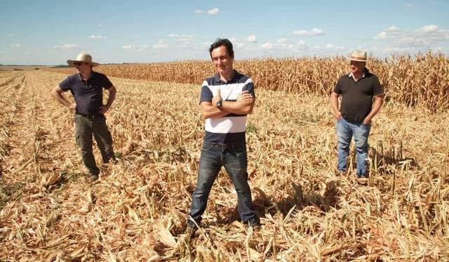 Solo 'ruim' produz 200 sacas de milho por hectare
