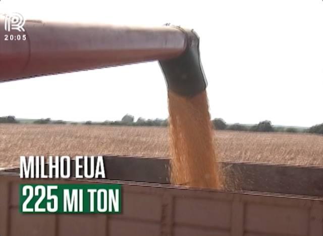USDA: estoques de milho dos EUA estão acima do previsto pelo mercado