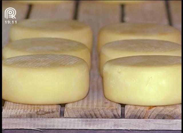 Produção de queijo minas artesanal sofre com informalidade
