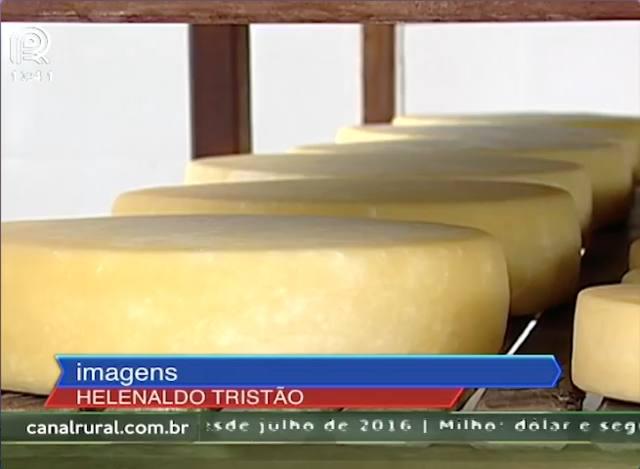 Produtores de queijo artesanal querem exportar