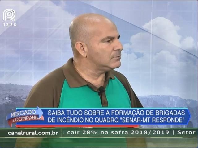 Saiba tudo sobre formações de brigadas de incêndio