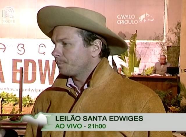 Leilão Santa Edwiges oferta cavalos crioulos no RS