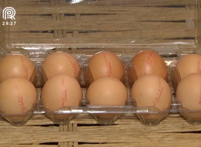 RS lança aplicativo para dobrar consumo de ovos