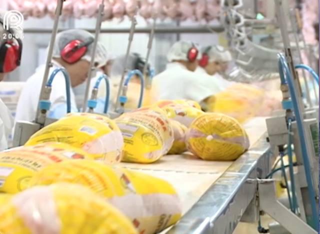 China prejudica exportação de frango brasileiro