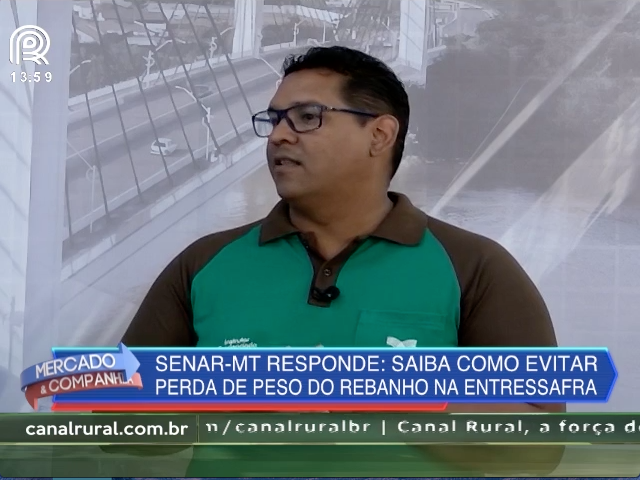 Saiba como evitar perda de peso do rebanho na entressafra