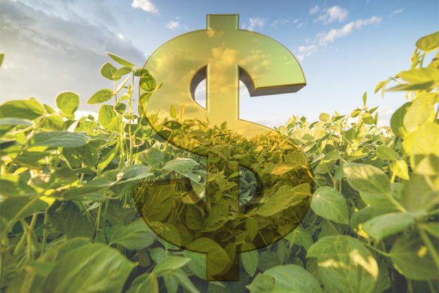 dinheiro, safra, recurso, safra - financiamento agrícola