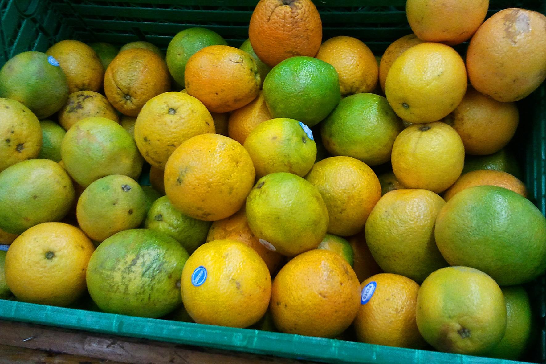 laranja frutas