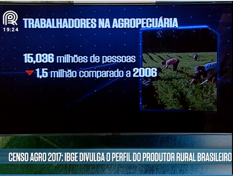 Análise: como o Censo Agropecuário pode ajudar o produtor brasileiro