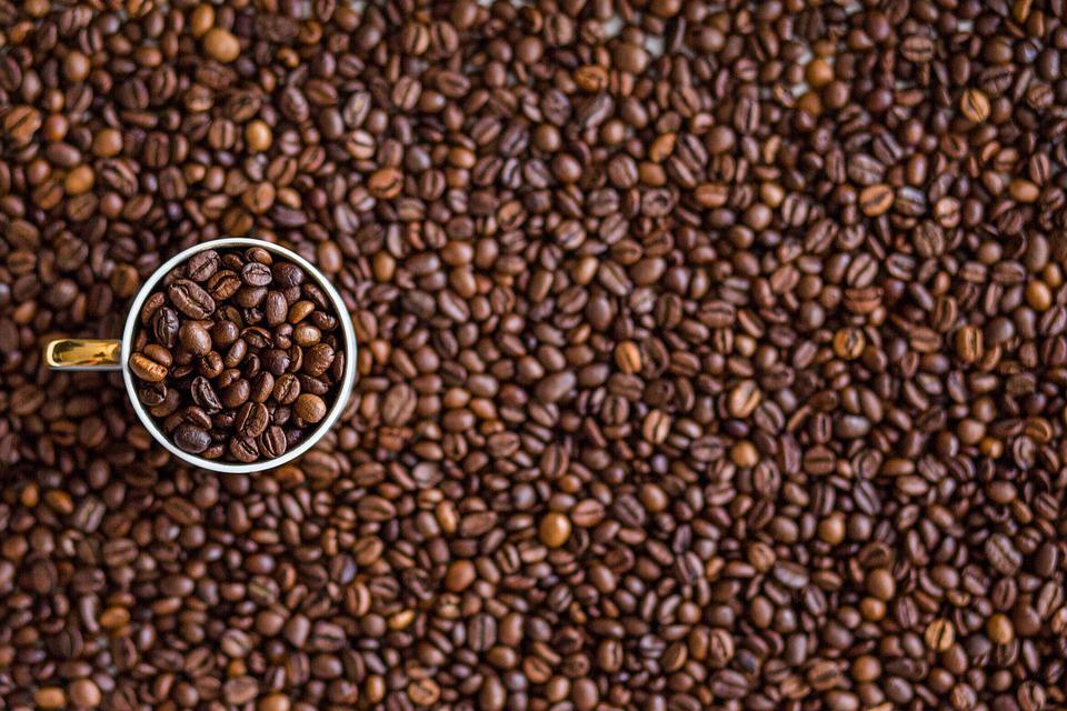 inteligência artificial classifica café torrado