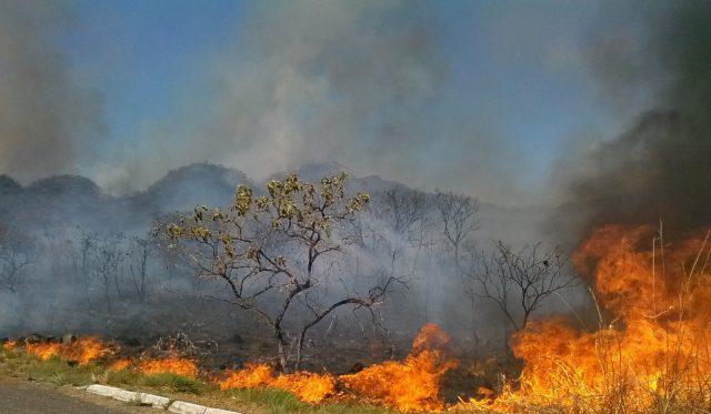 incêndio no cerrado