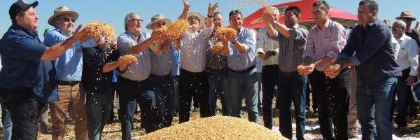 Região das Missões realizou a 6ª Abertura Oficial da Colheita do Milho no RS