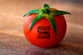Rastreabilidade de hortaliças - Tomate com QrCode