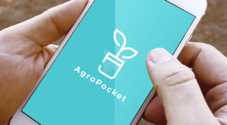 AgroPocket: aplicativo gratuito oferece principais ferramentas ao agricultor