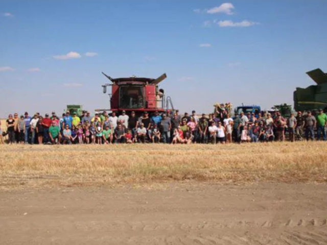 Comovente: mais de 100 voluntários ajudam em colheita após morte de produtor