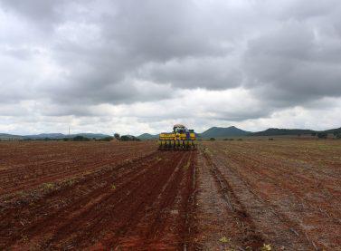 Mato Grosso do Sul prevê grande aumento na área de soja
