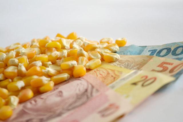 preços, crédito rural, milho