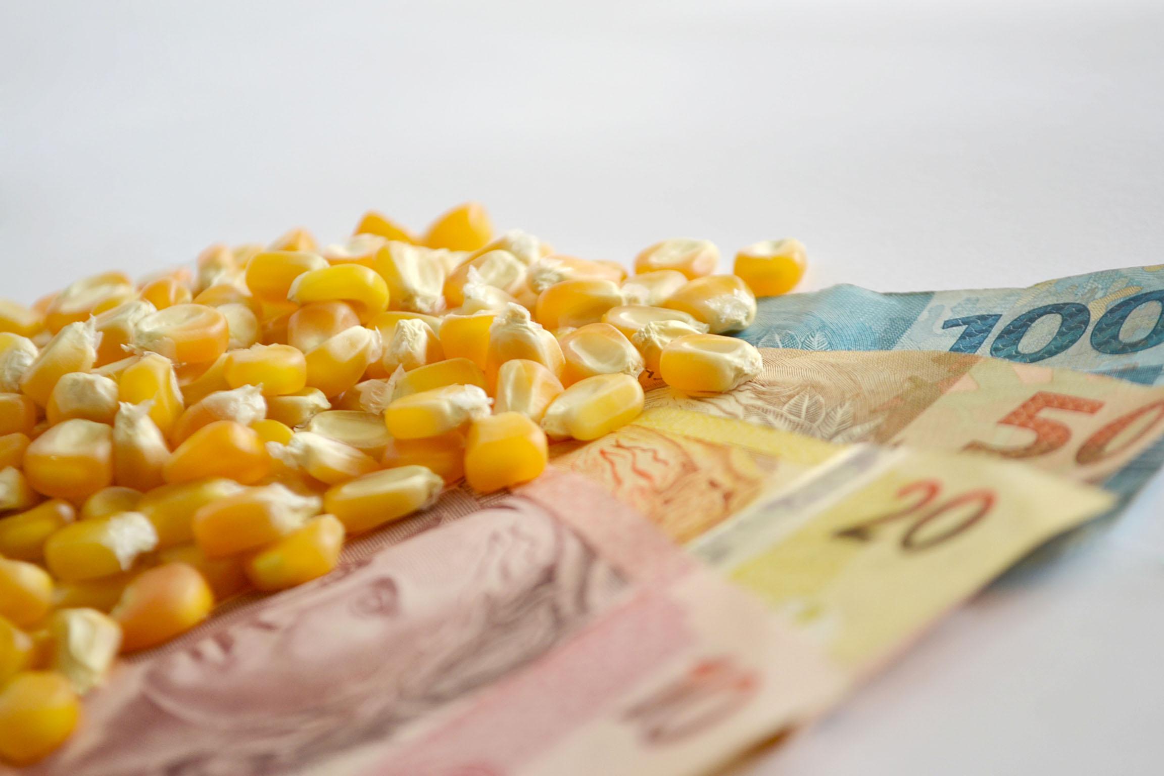 preços do milho, incentivos fiscais, seguro rural, funrural, MP