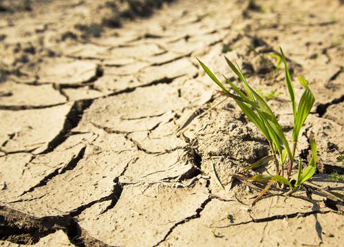 Contra a seca: Santa Catarina anuncia recursos de R$ 243 milhões