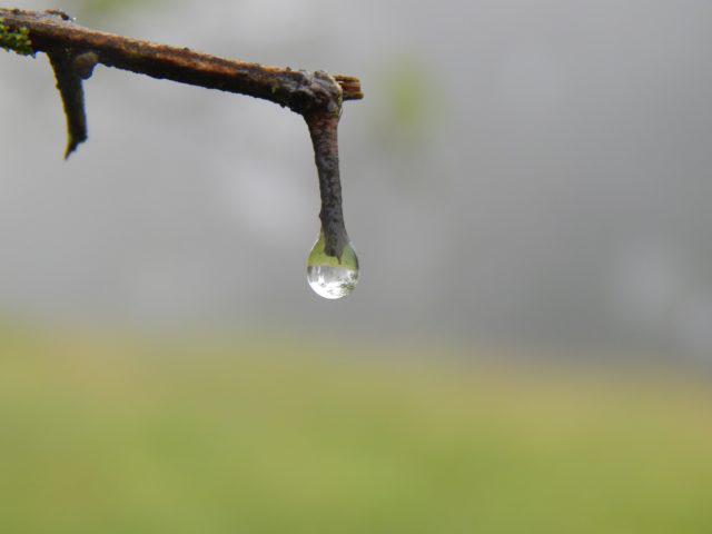 gota de chuva, la niña, previsão do tempo