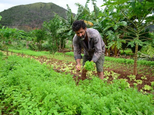 contag, agricultura familiar, redução de agrotóxicos, modelo agroecológico, contag, pronaf, auxílio emergencial