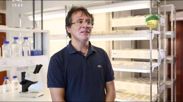 Conheça Sérgio Brommonschenkel, criador de soja resistente a ferrugem